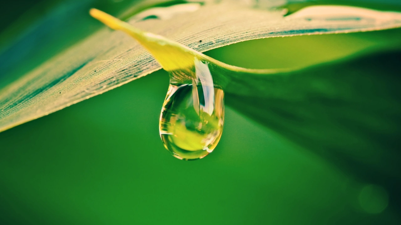 Mehr über den Artikel erfahren Transparenzbericht April 2025