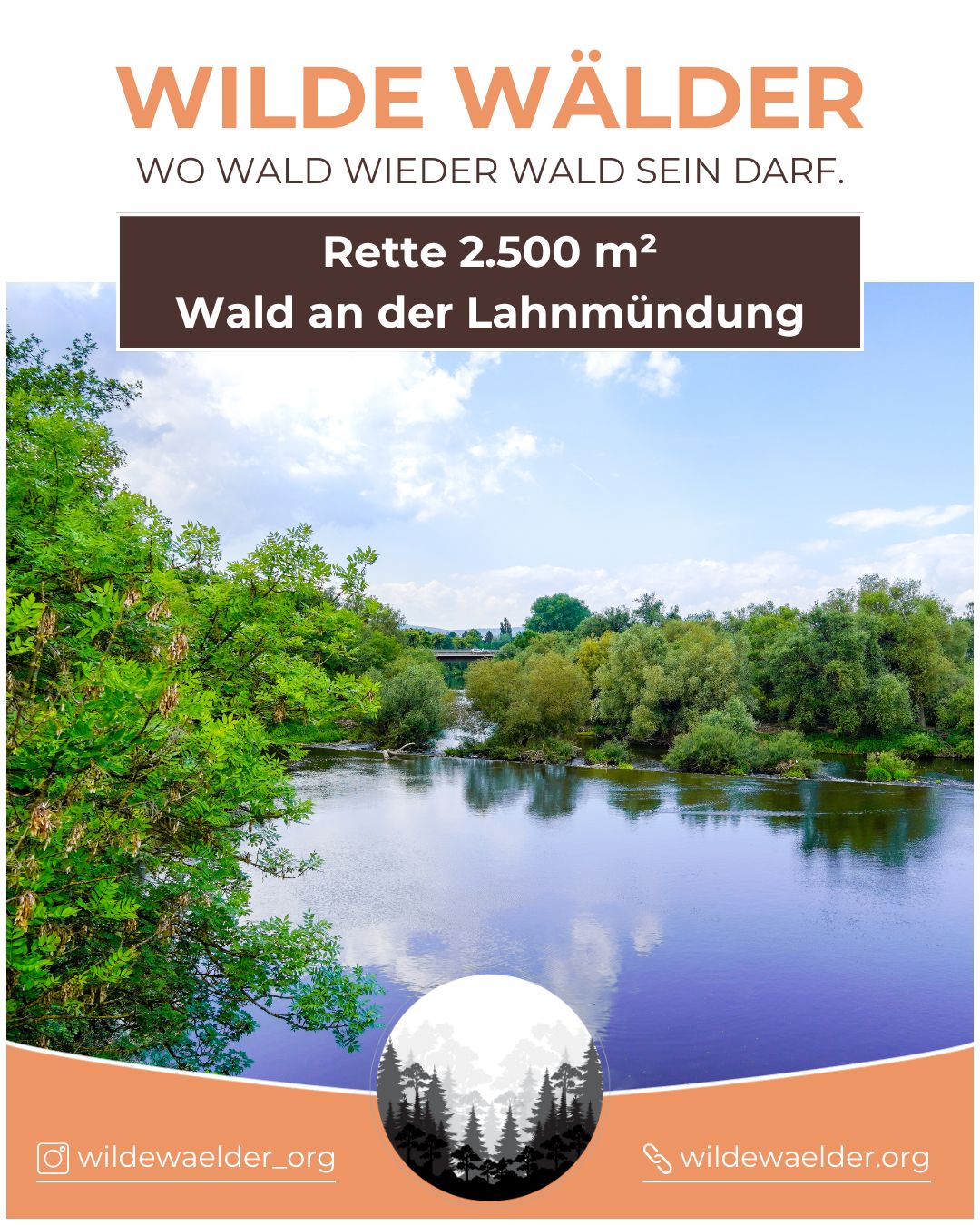 Rette 2.500 m² Wald an der Lahnmündung