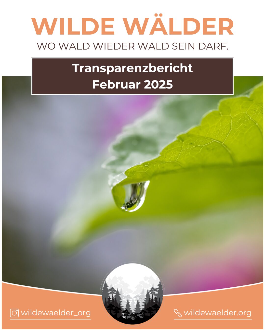 Transparenzbericht Februar 2025